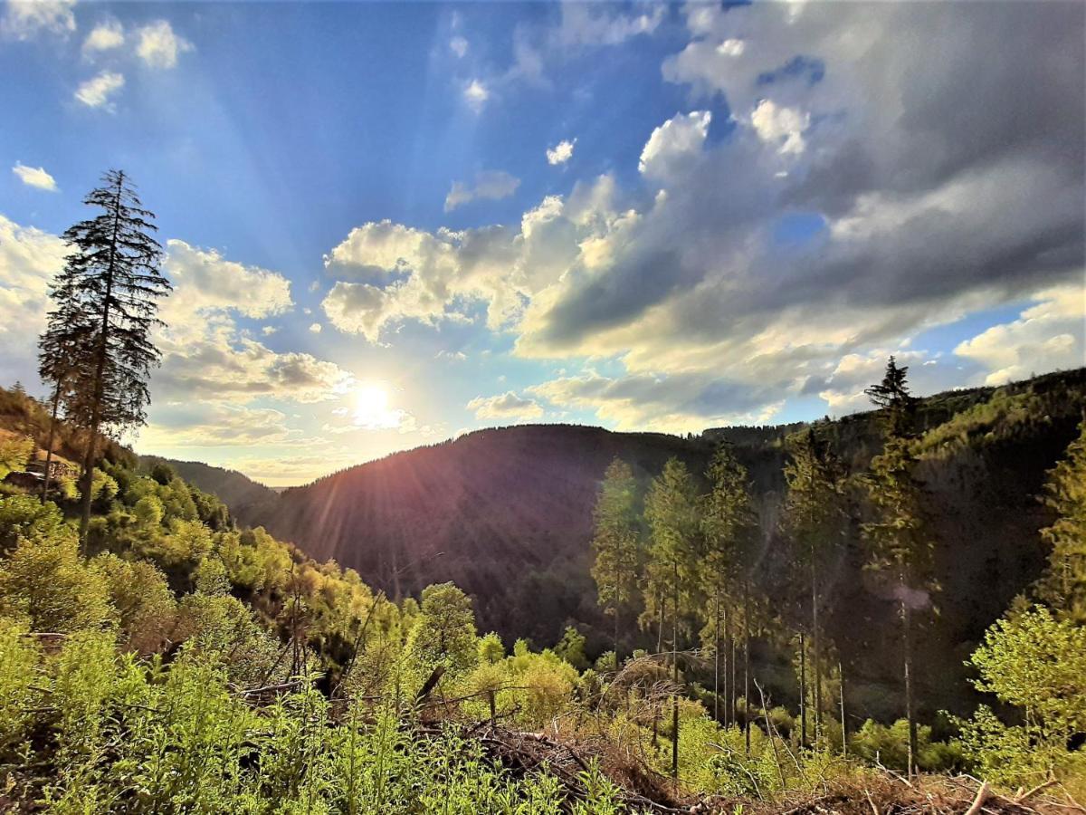Harz Hotel Iris Sieber ภายนอก รูปภาพ