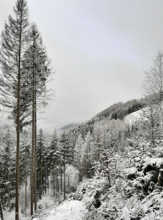 Harz Hotel Iris Sieber ภายนอก รูปภาพ