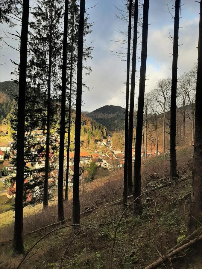 Harz Hotel Iris Sieber ภายนอก รูปภาพ