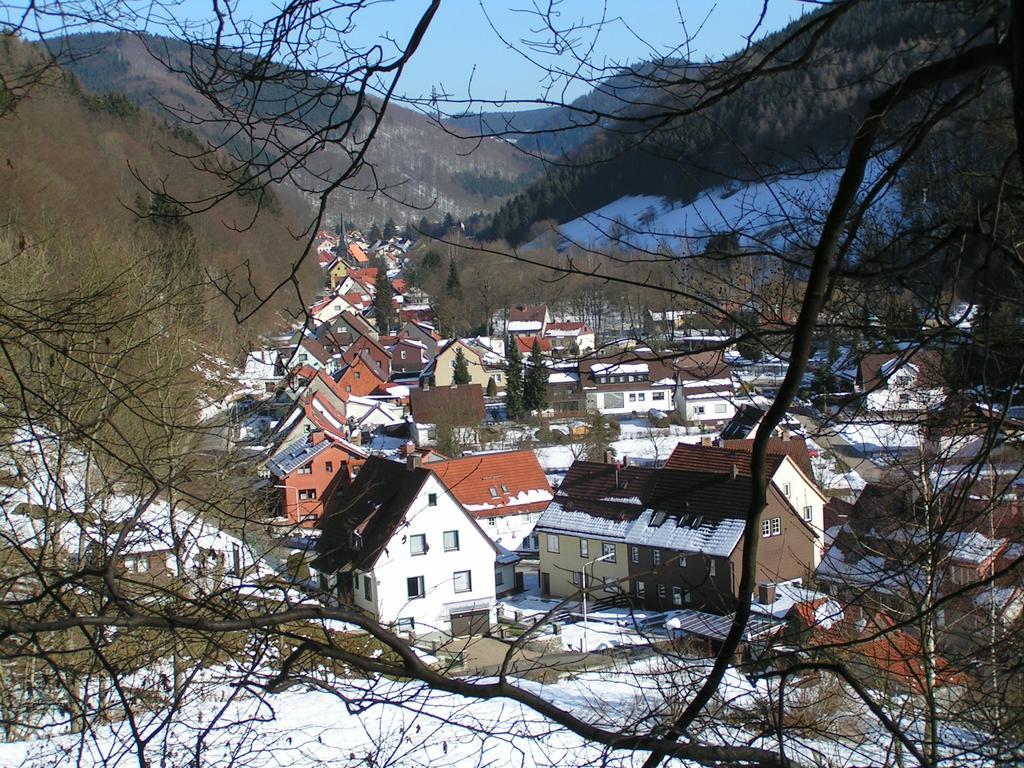 Harz Hotel Iris Sieber ภายนอก รูปภาพ