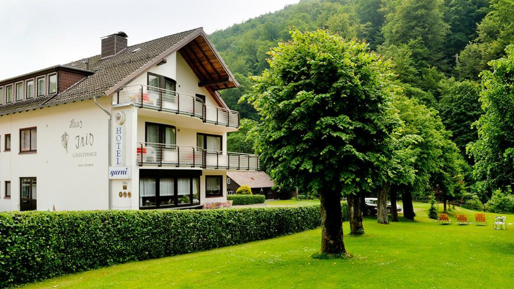 Harz Hotel Iris Sieber ภายนอก รูปภาพ