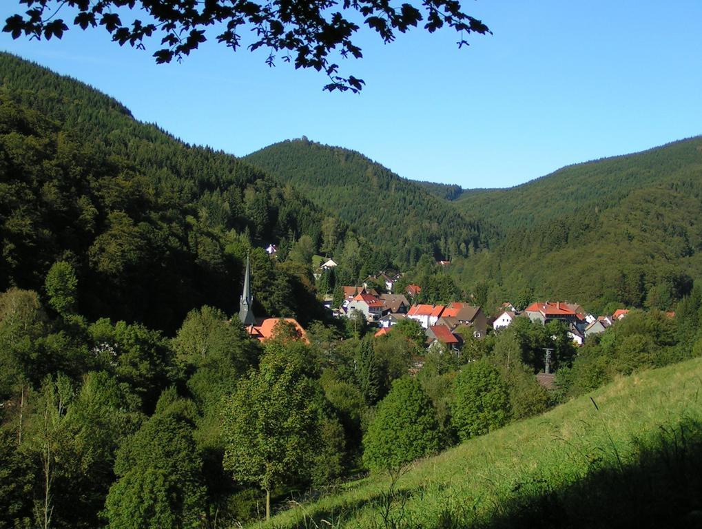 Harz Hotel Iris Sieber ภายนอก รูปภาพ