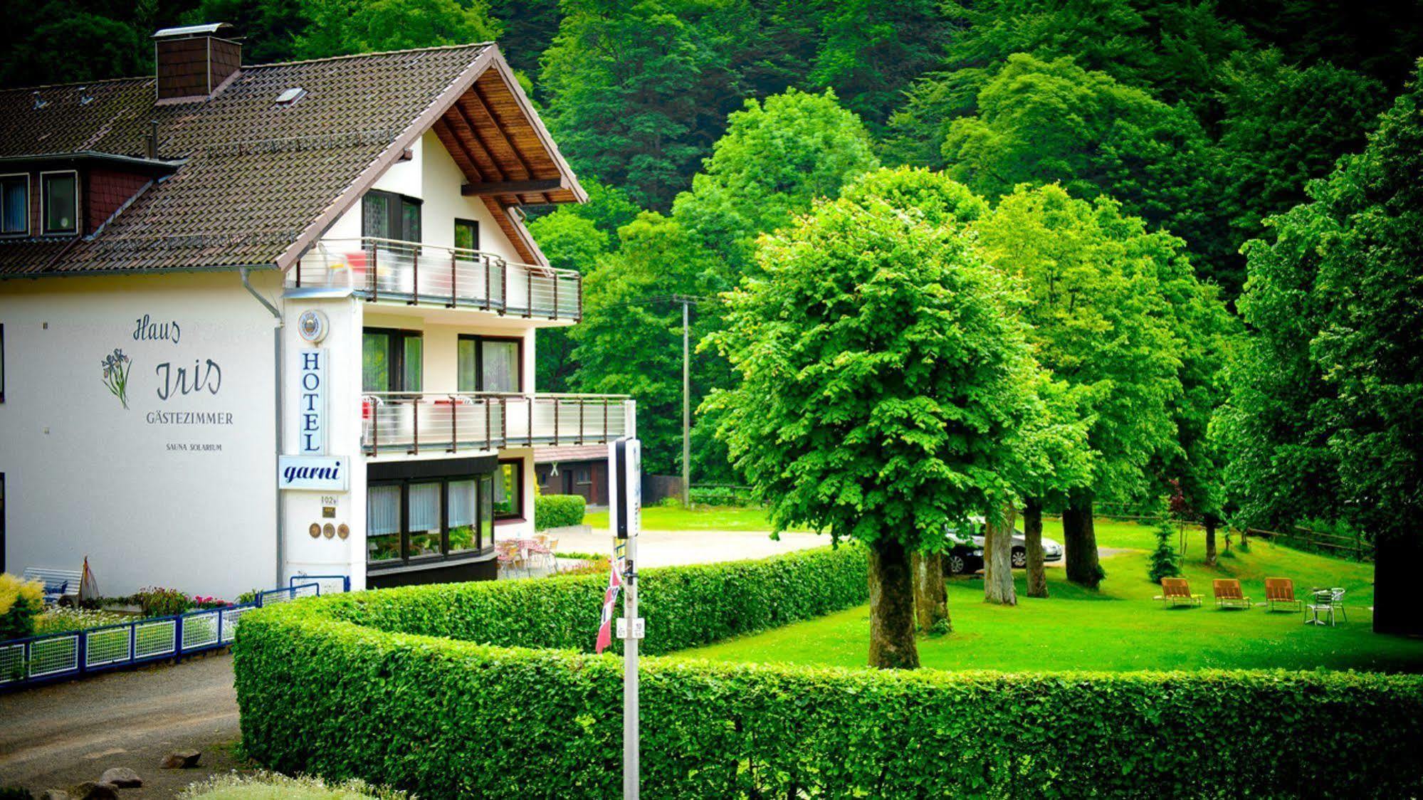 Harz Hotel Iris Sieber ภายนอก รูปภาพ